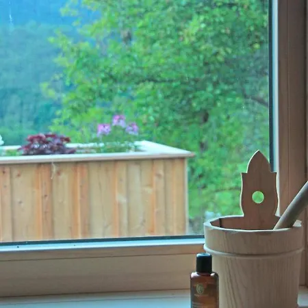 Holiday home Haus Am Salz Mit Sauna
