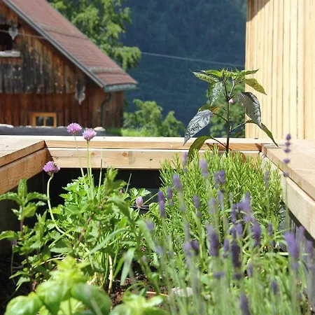 Haus Am Salz Mit Sauna