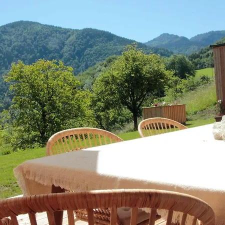 Vakantiehuis Haus Am Salz Mit Sauna