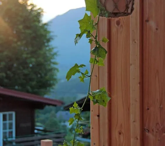 Haus Am Salz Mit Sauna *