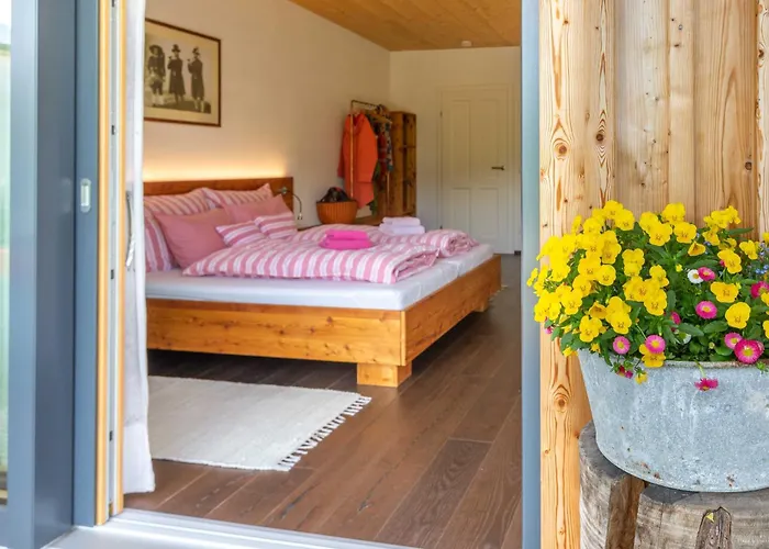 Haus Am Salz Mit Sauna Ferienhaus